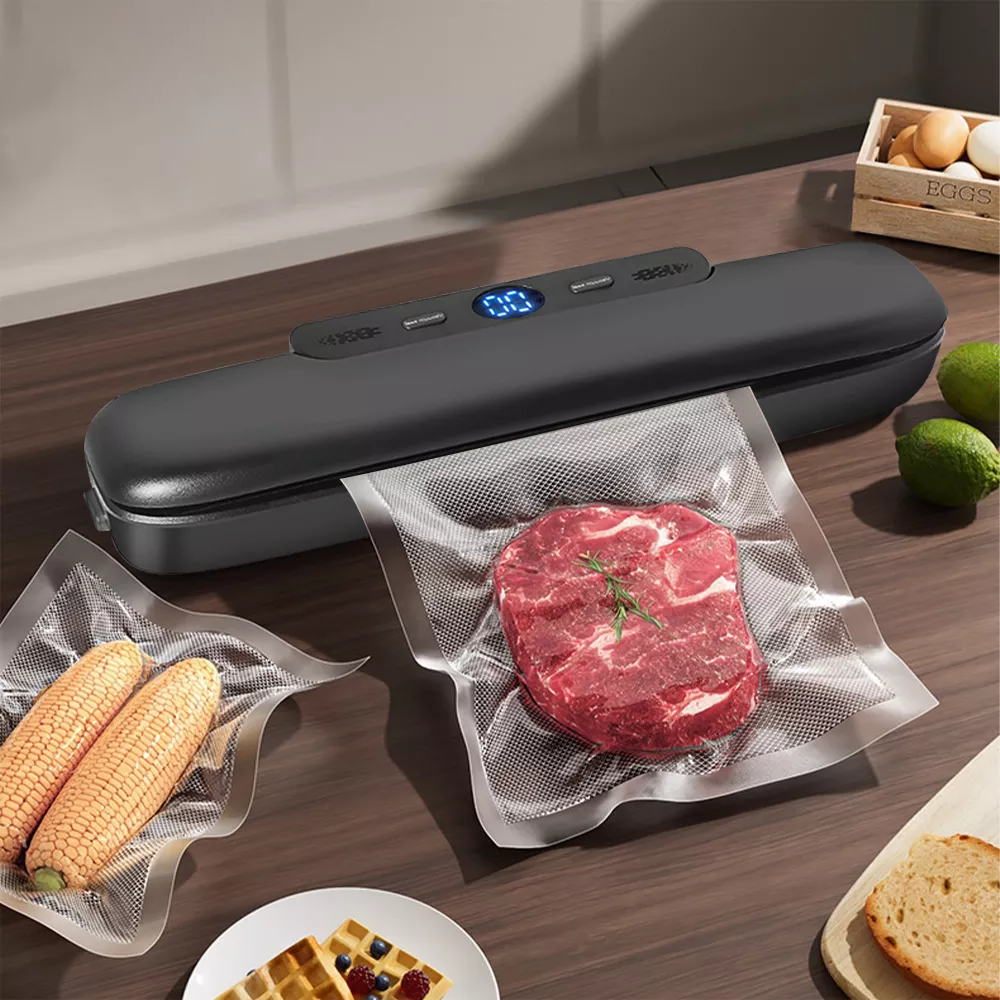 Machine Sous Vide Alimentaire